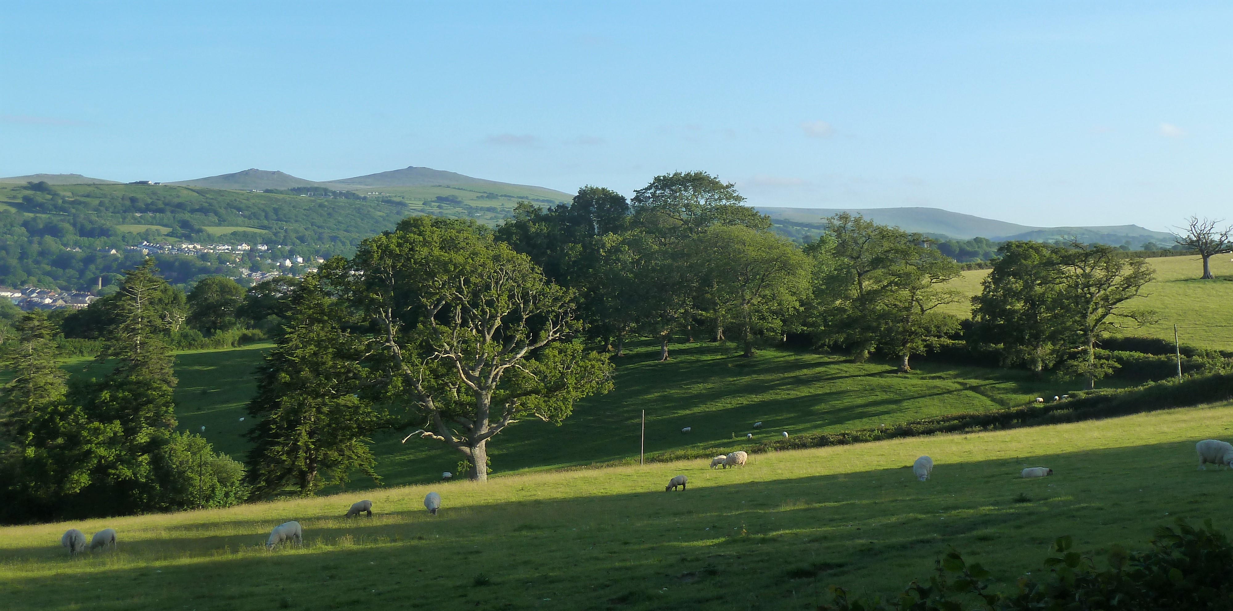 View from Meadow Sweet Cottage